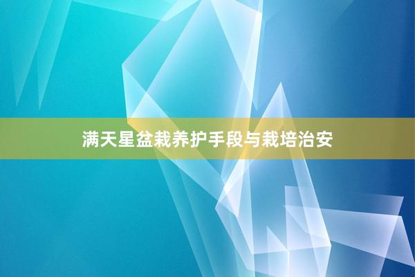 满天星盆栽养护手段与栽培治安